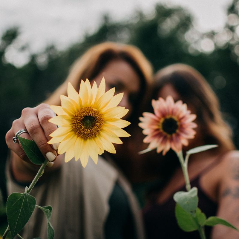önazonos női út, 40 feletti újrakezdés, női mentorprogram, perimenopauza támogatás, menopauza támogatás, menopauza alatt, belső megújulás, női változókori kísérés, női önbizalom visszaszerzése, testi-lelki egyensúly, női önismereti út, holisztikus női kísérés, női test elfogadása