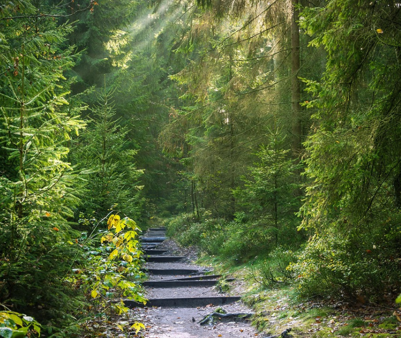 Túl sok élet egy kis akváriumban – egy álom üzenete a növekedésről és a biztonságról
